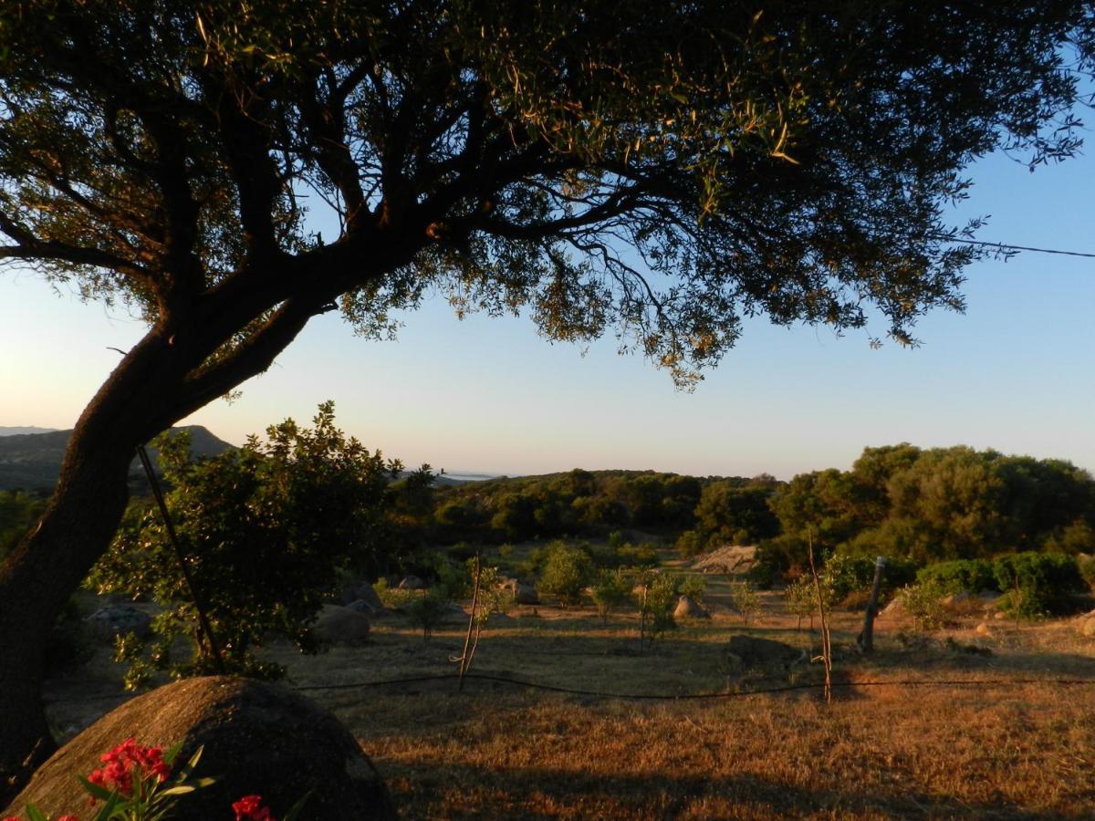 B&B Su Donnigheddu Rudalza Exterior photo