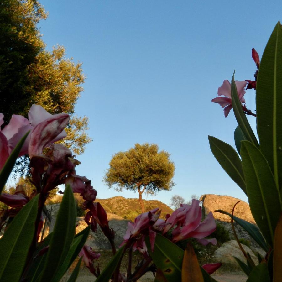B&B Su Donnigheddu Rudalza Exterior photo